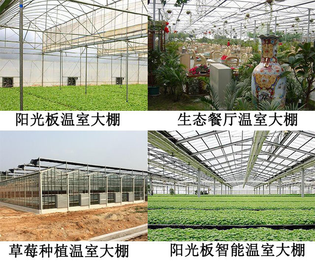 溫室大棚陽(yáng)光板案例圖
